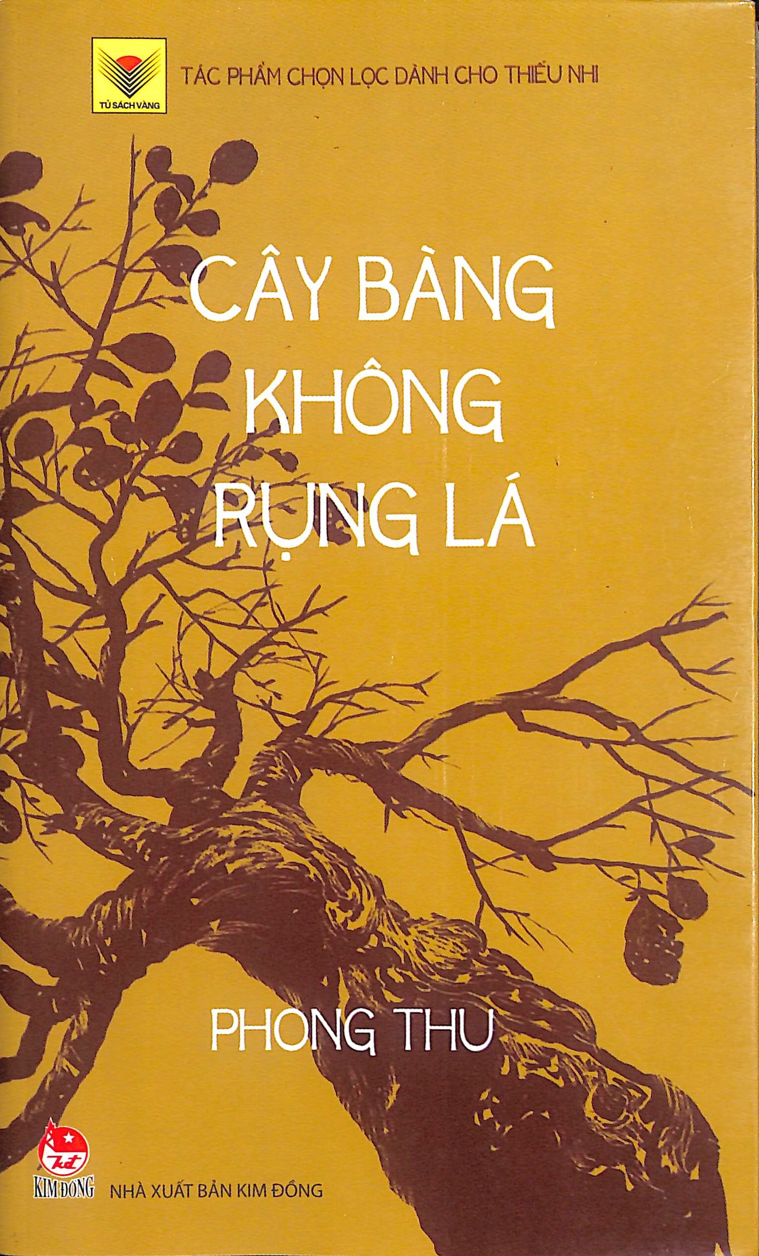 Cây bàng không rụng lá