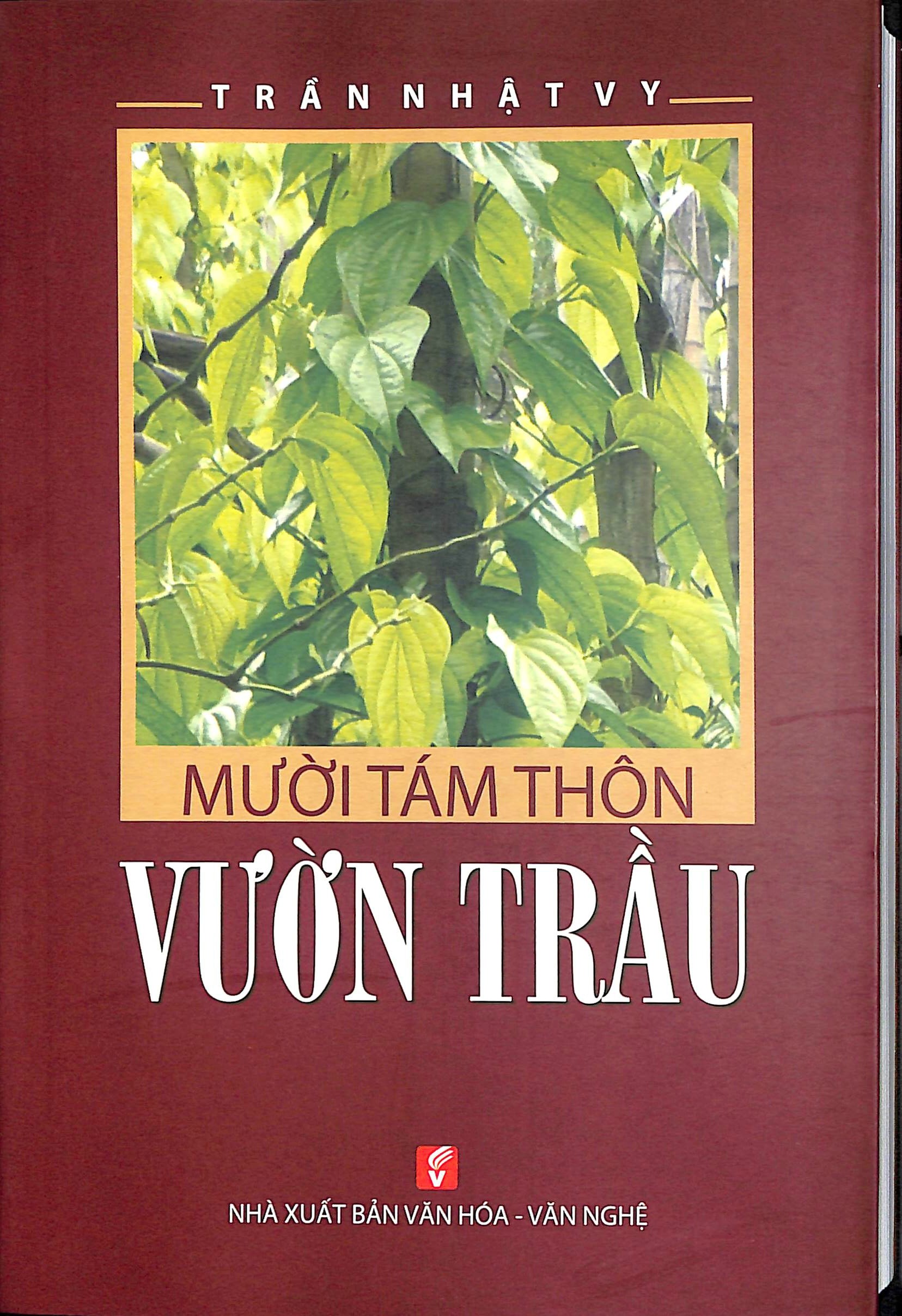 Ngược gió tôi đi