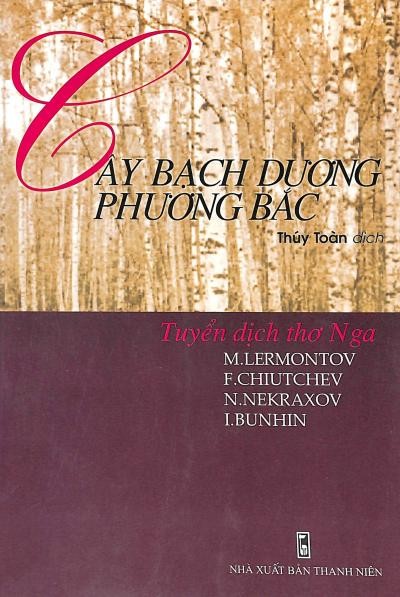 Cây Bạch Dương Phương Bắc