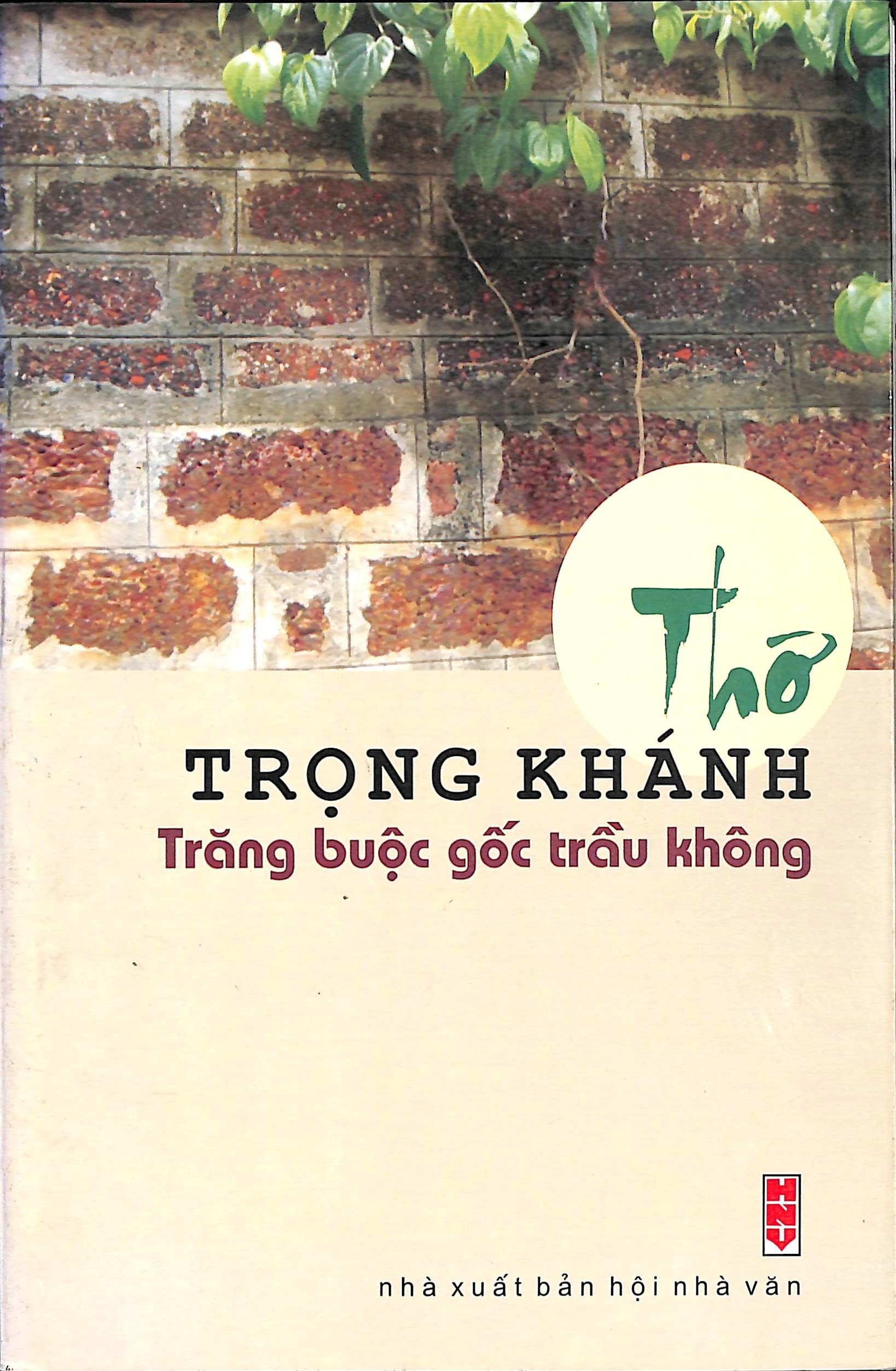 Trăng buộc gốc trầu không