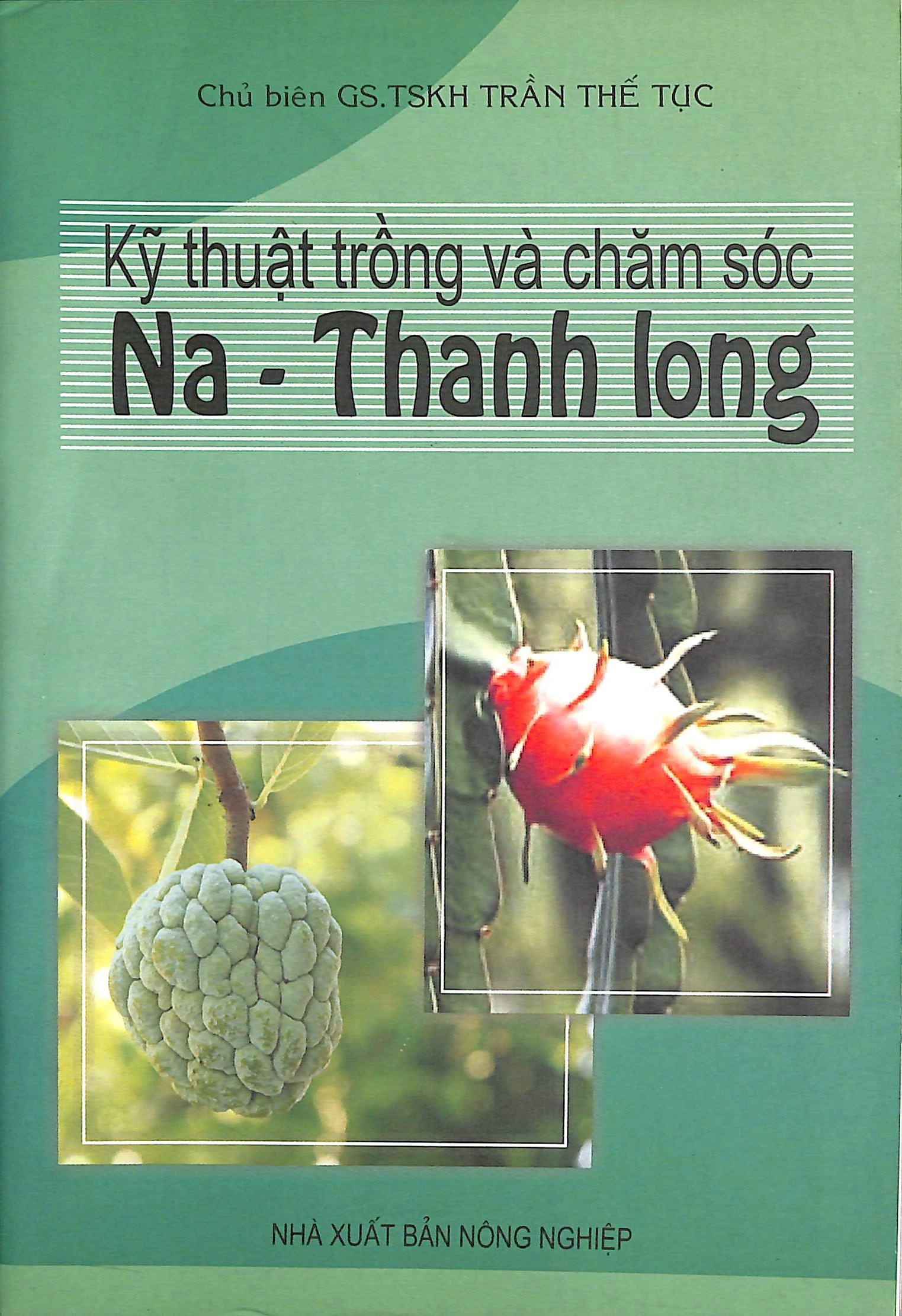 Kỹ thuật trồng và chăm sóc Na - Thanh Long