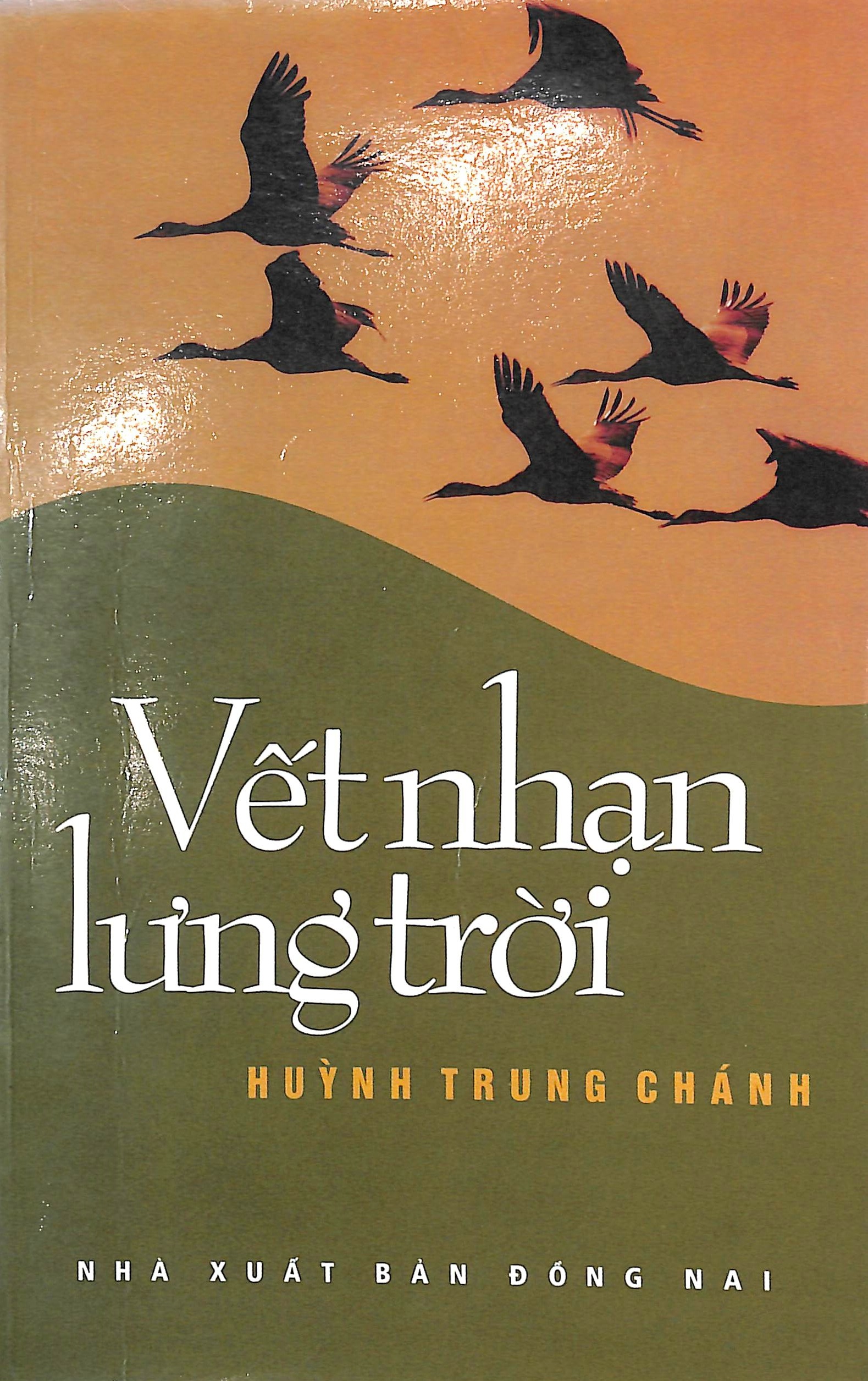 Vết nhạn lưng trời