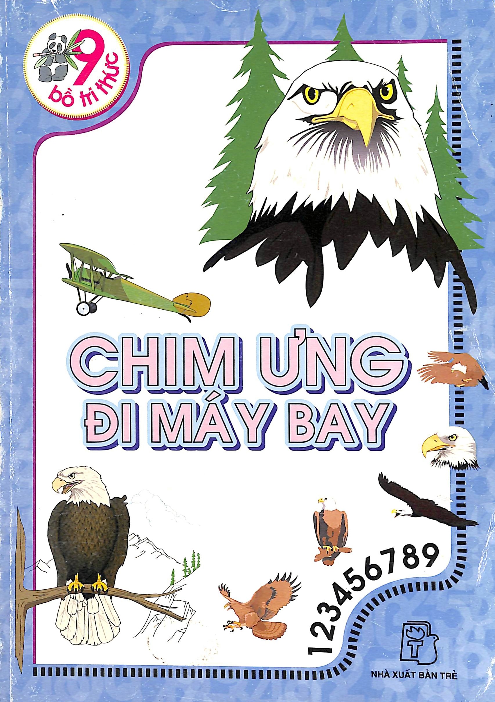 Chim ưng đi máy bay